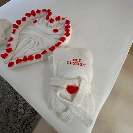 Eli Luxury 公寓 *